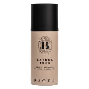 Björk Skydda Torr Mini 100ml