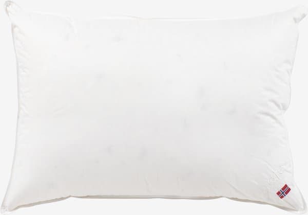 Moskusdunspute 50x70 Høie TOR høy