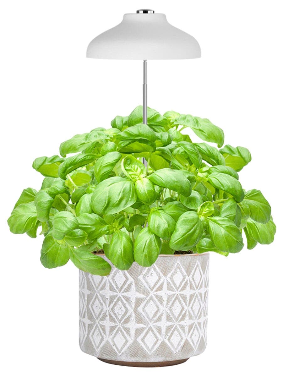 LED-plantelys på spyd til potter, med USB og teleskopfunksjon, hvitt
