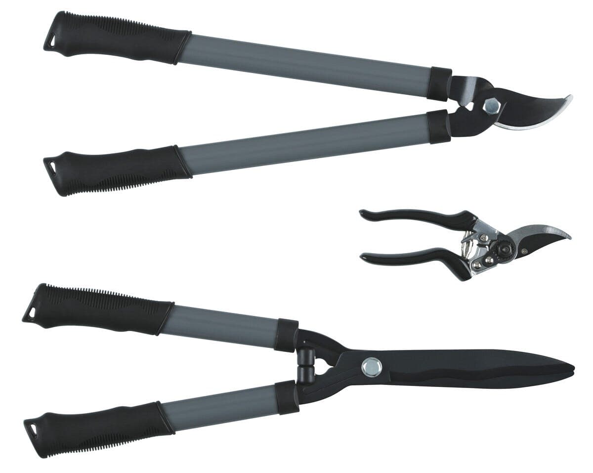 Hekksaks, grensaks og rosesaks