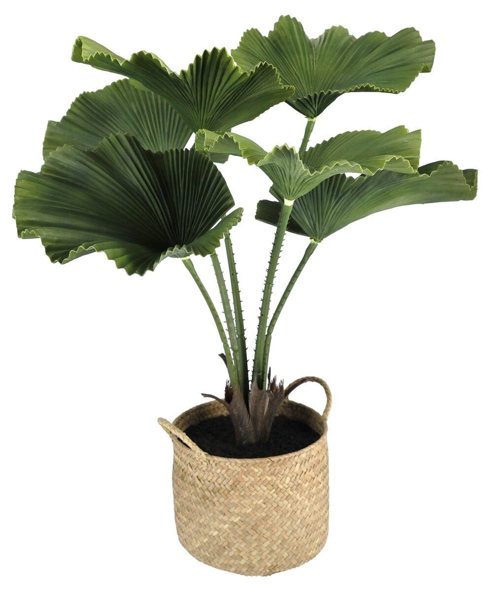 Kunstig plante i potte Licuala 70 cm