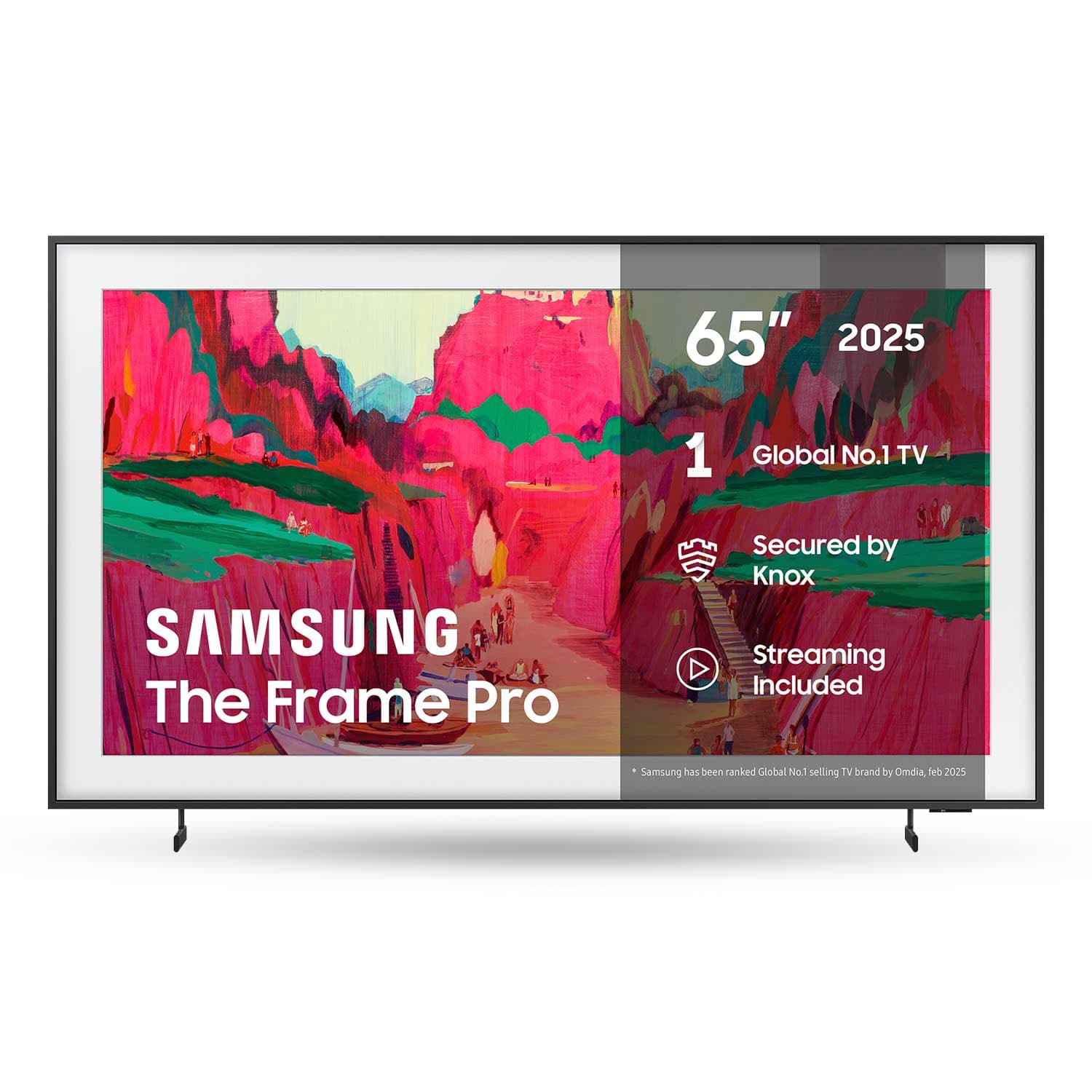 The Frame Pro