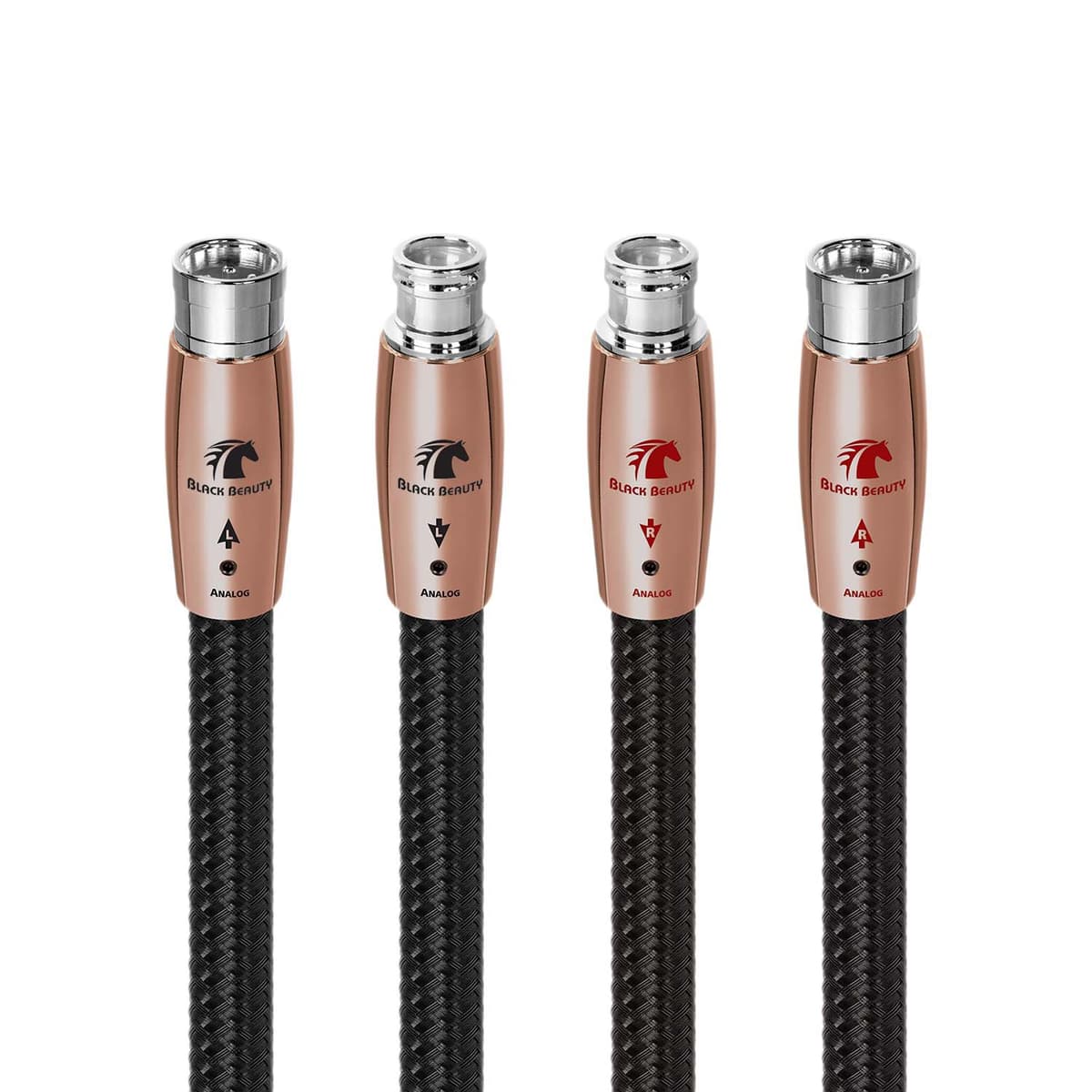 Black Beauty (XLR)