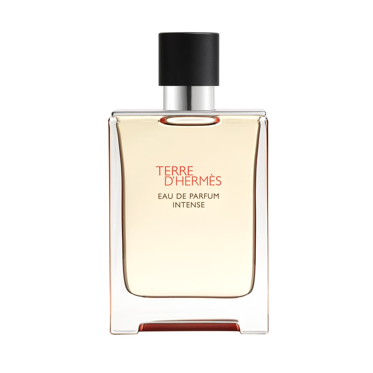 Terre D'Hermès EdP Intense 100 ml