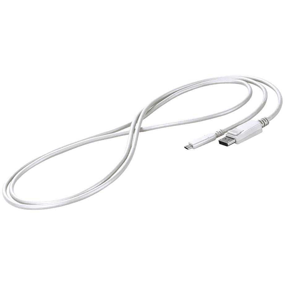 EIZO - USB-C - DisplayPort cable (USB-C - DP), white - 2m