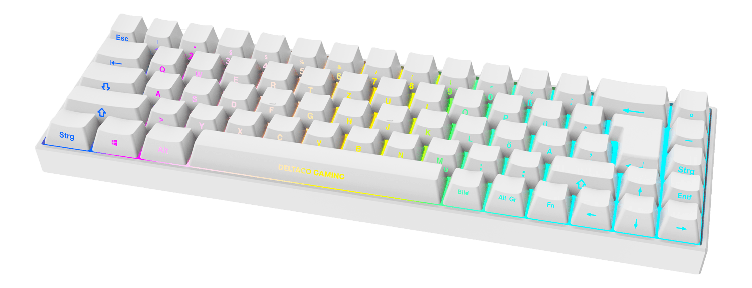 DELTACO - WHITE LINE WK95R Wireless 65% keyboard, front symbols, DE layout