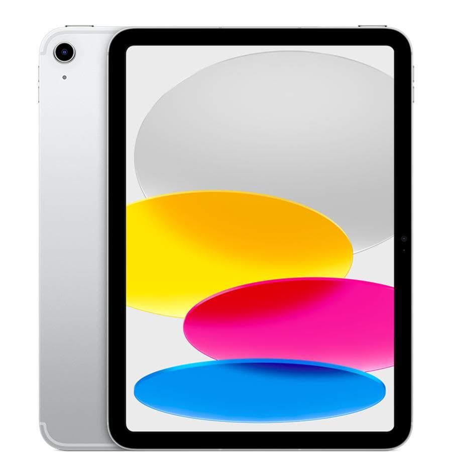 APPLE - IPAD WF CL 256GB SLV