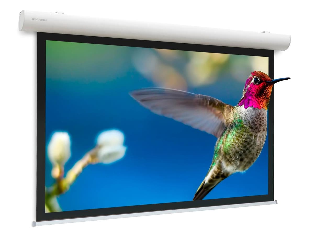 PROJECTA - Elpro Concept Wide Format - projeksjonsskjerm - 172" (436 cm)