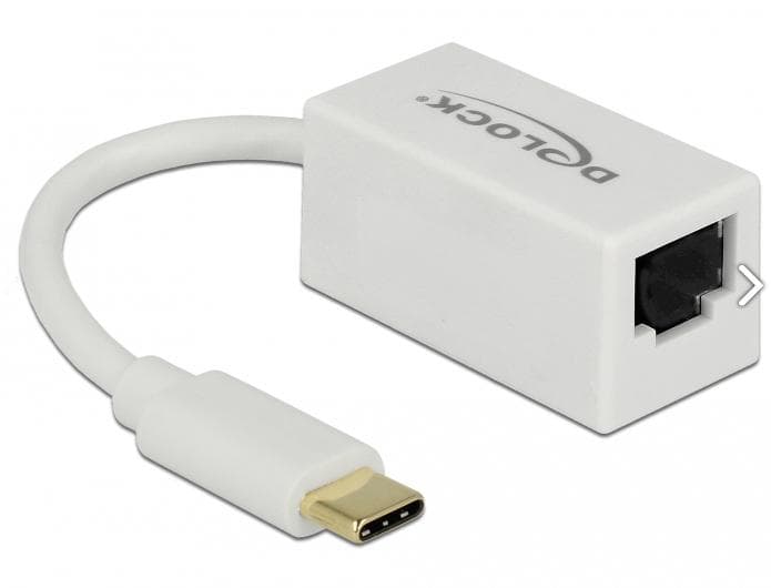 DELOCK - Adapter SuperSpeed USB (USB 3.1 Gen 1) with USB Type-C™ male > Gigabit