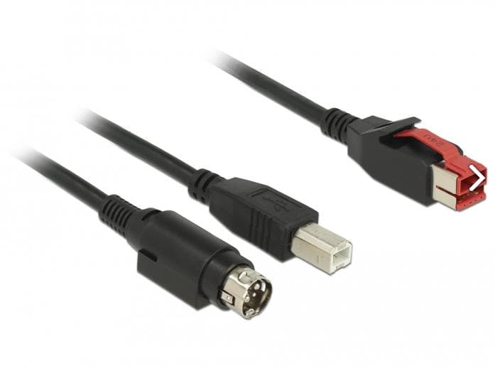 DELOCK - PoweredUSB cable male 24 V > USB Type-B male + Hosiden Mini-DIN 3 pin