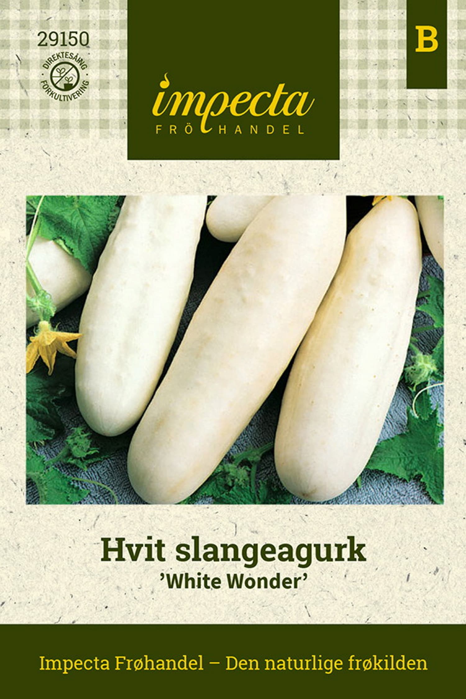 Hvit slangeagurk 'White Wonder'