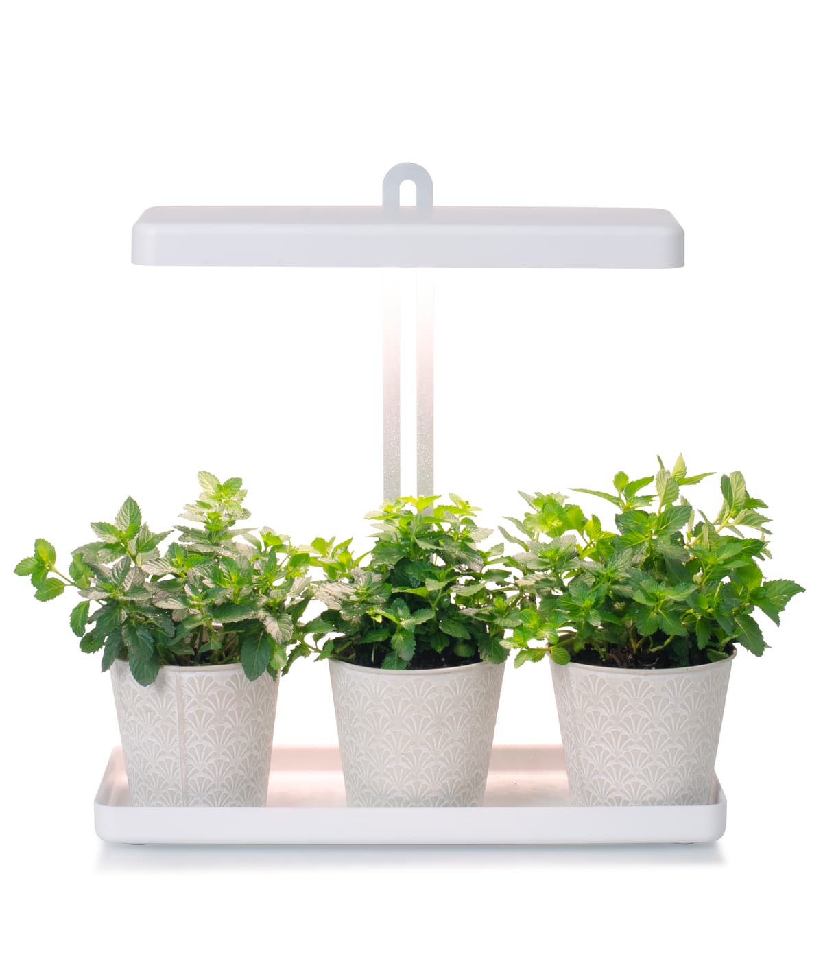 LED-plantebelysning