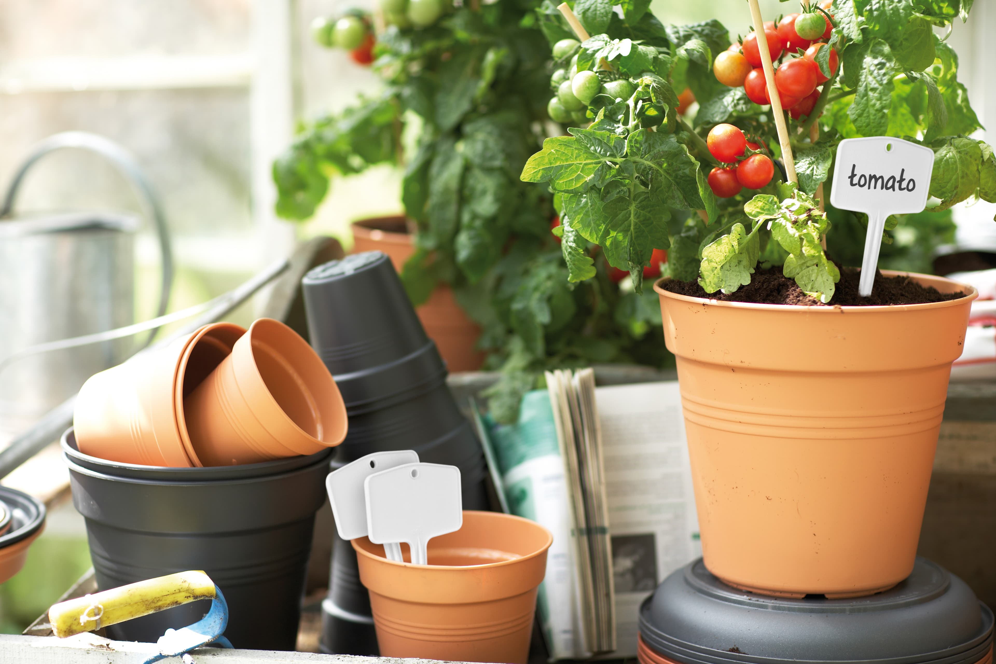 Planteetiketter Green Basics M 5-pack