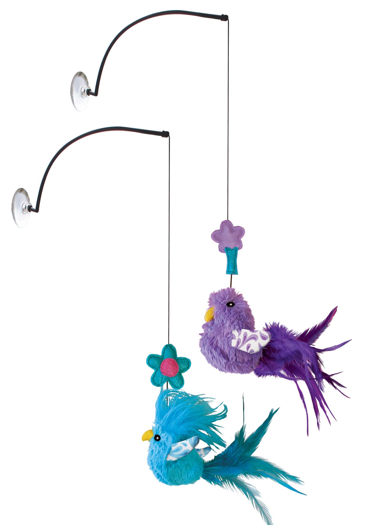 Katteleke Kong Window teaser