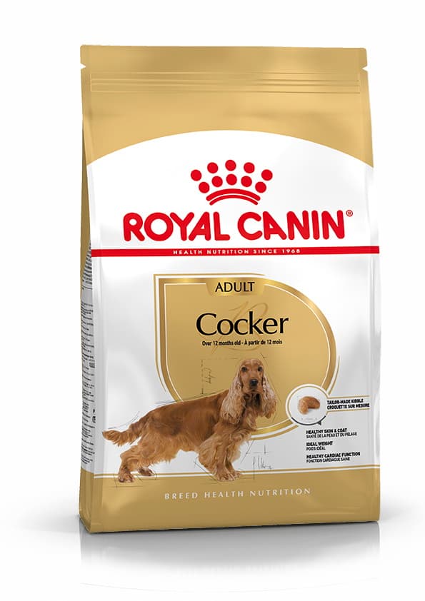 Royal Canin Cocker spaniel Adult