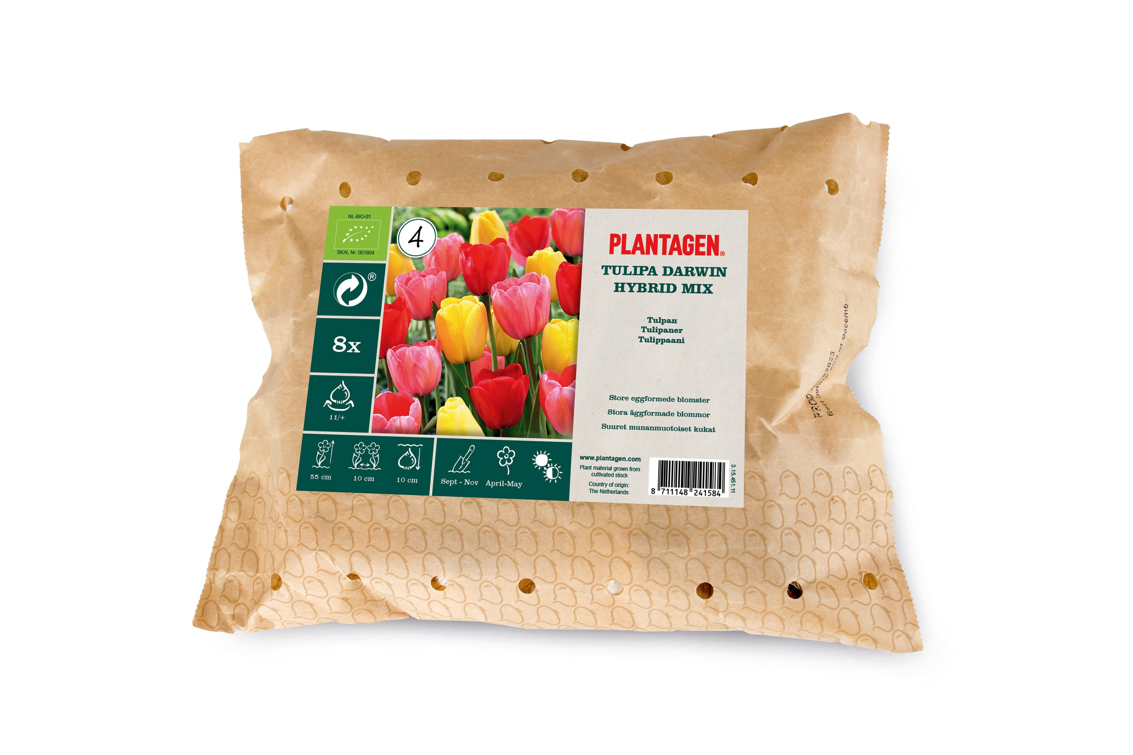 Tulipan Darwin-hybrider miks ØKO