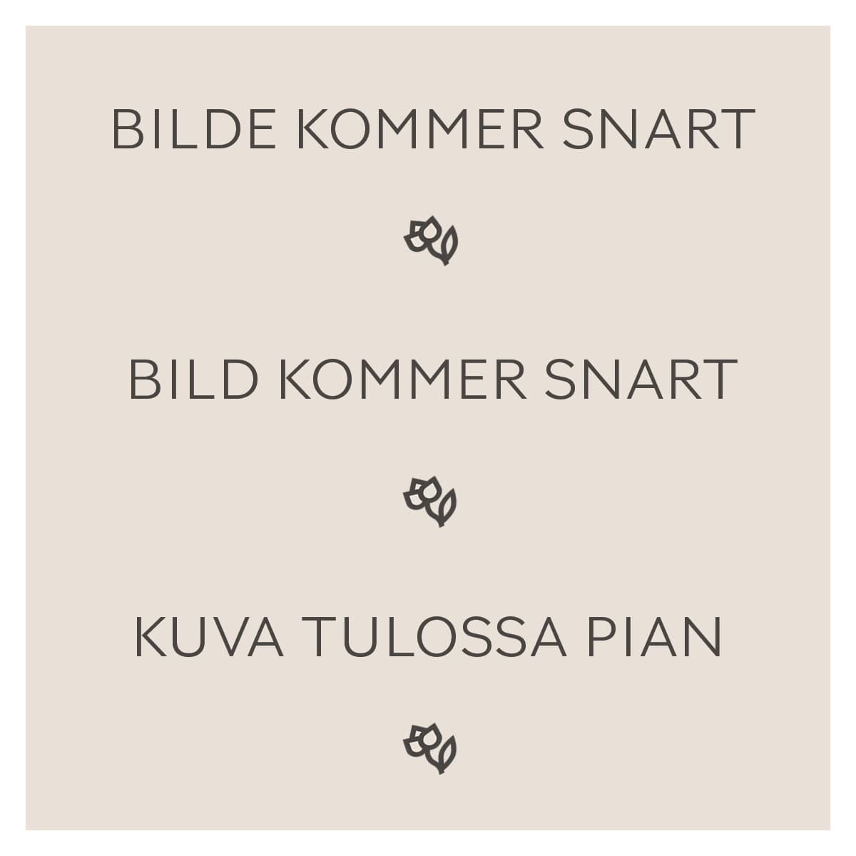 Løk 'Red Braunschweiger'