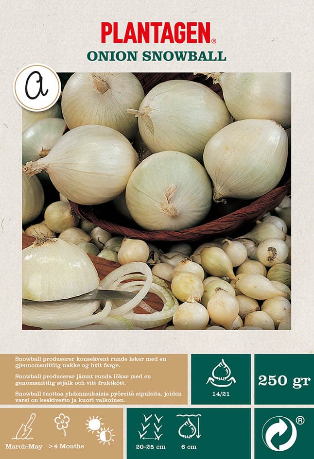 Løk 'Snowball'