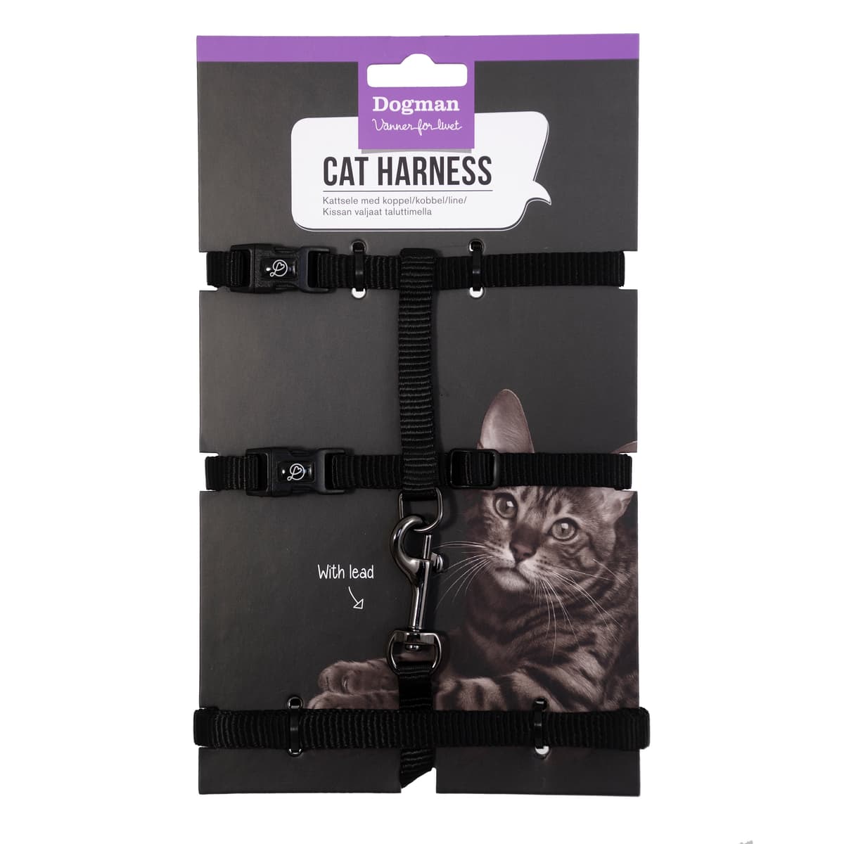 Kattsele-set Findus Svart