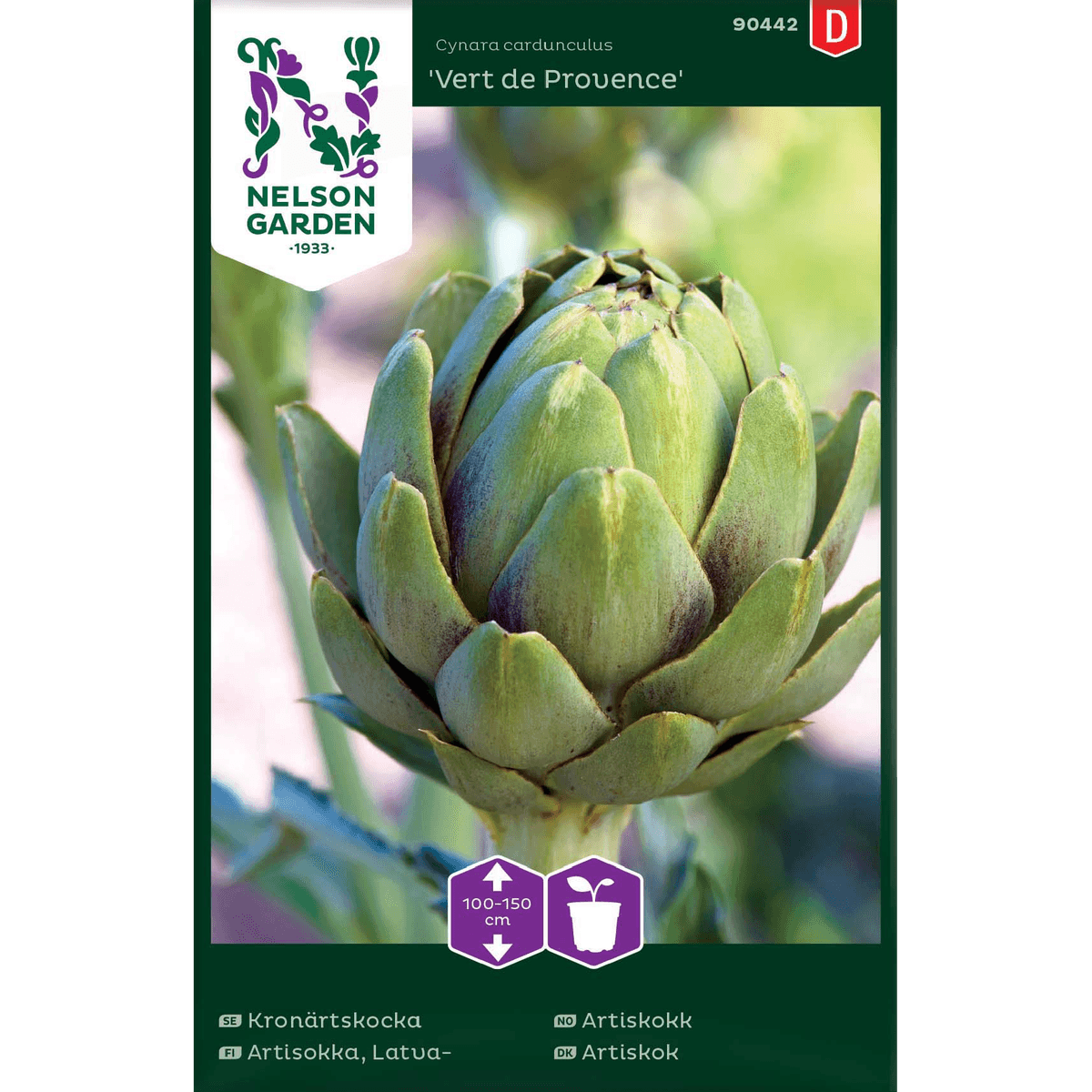 Artiskokk 'Vert de Provence'