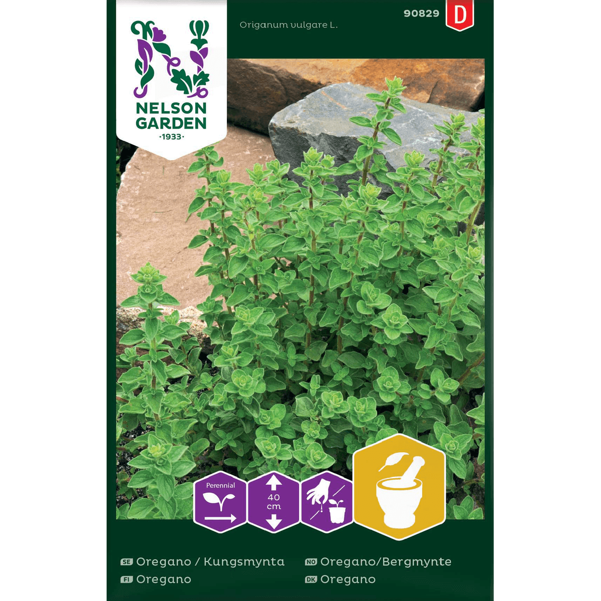 Oregano