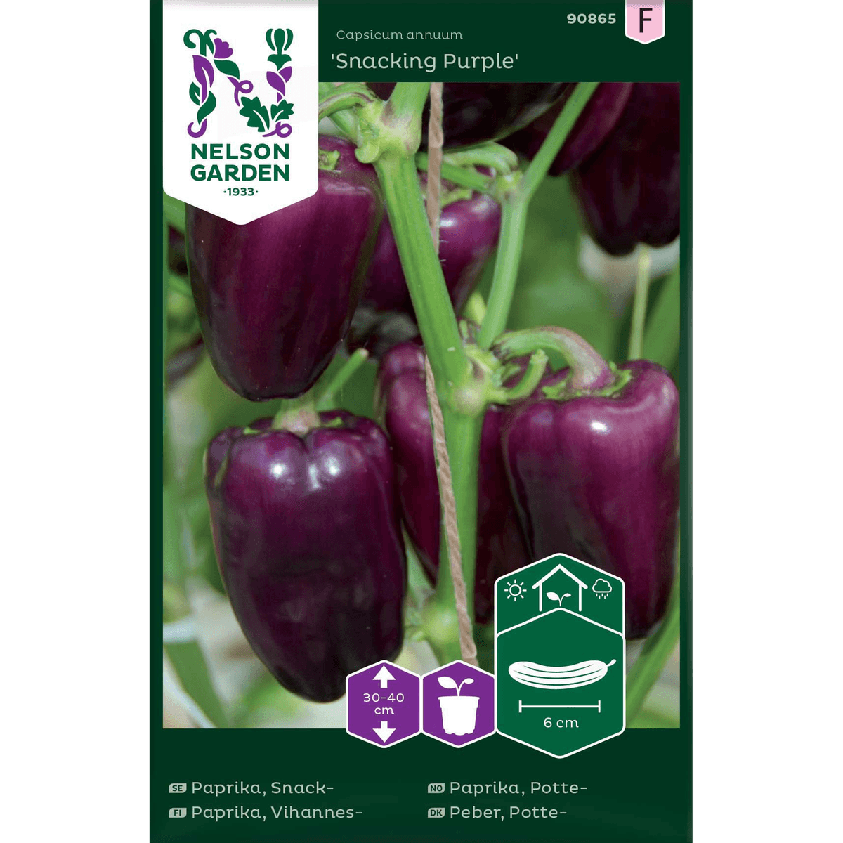 Pottepaprika 'Snacking Purple'