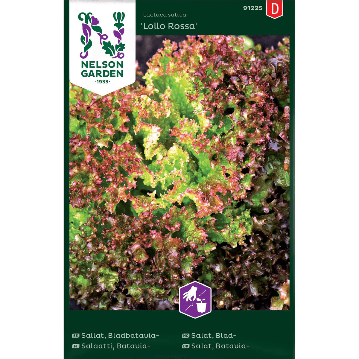 Bladsalat 'Lollo Rossa'