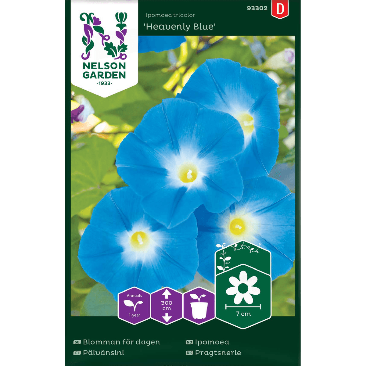 Ipomoea 'Heavenly Blue'