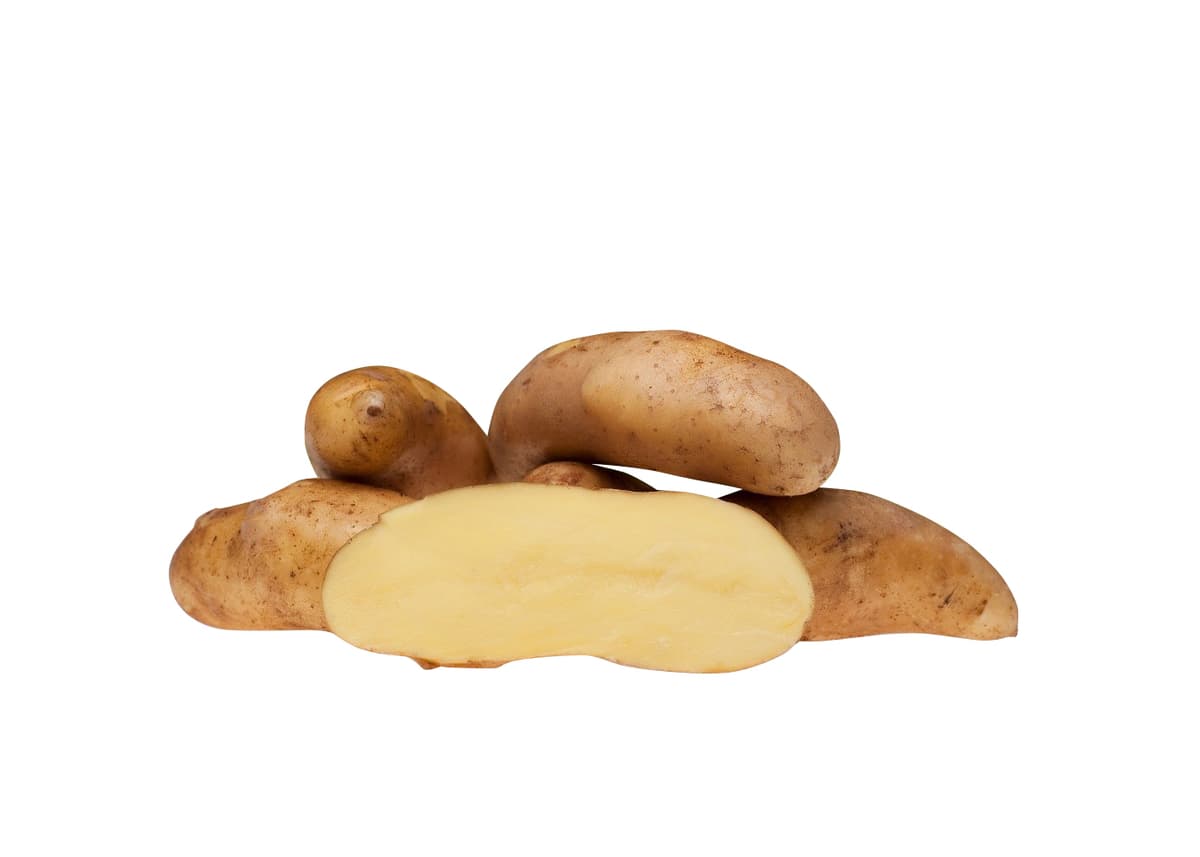 Settepotet 'Mandel'