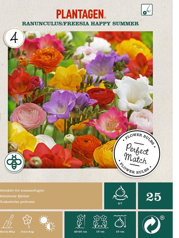 Ranunkel og freesia Miks ‘Happy Summer’