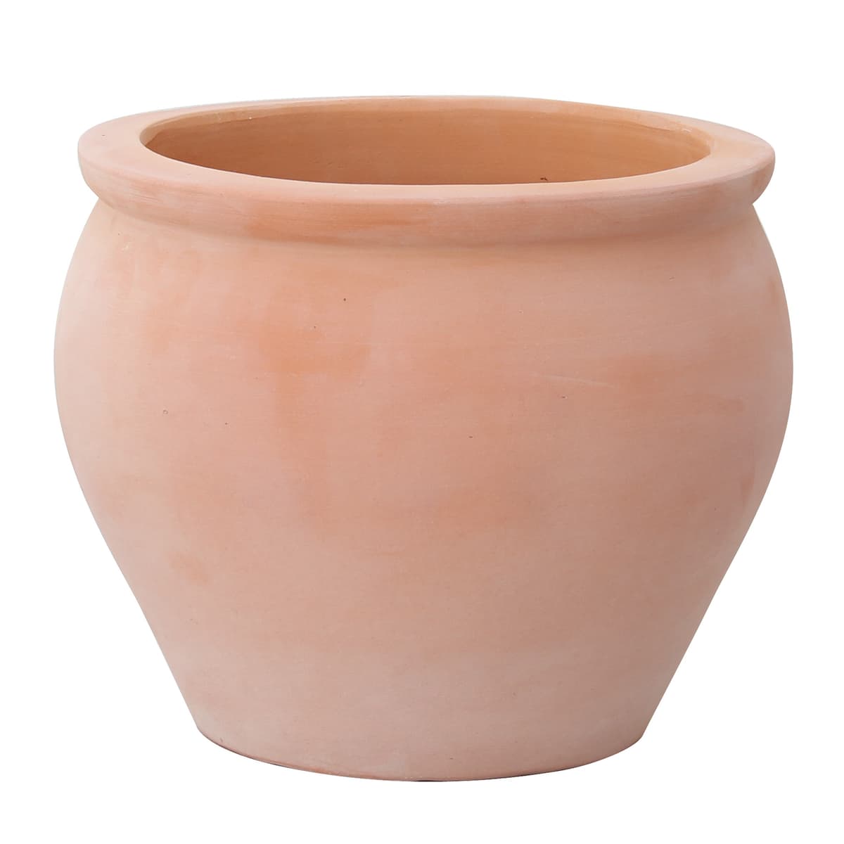 Potte Alexa