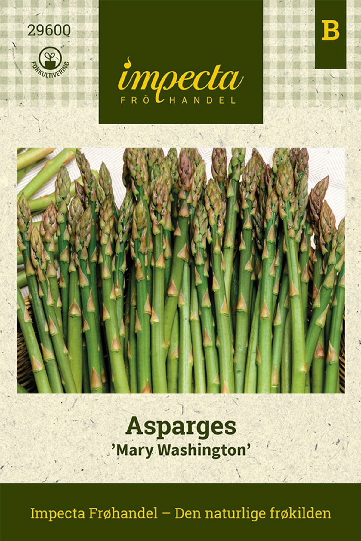 Asparges 'Mary Washington'