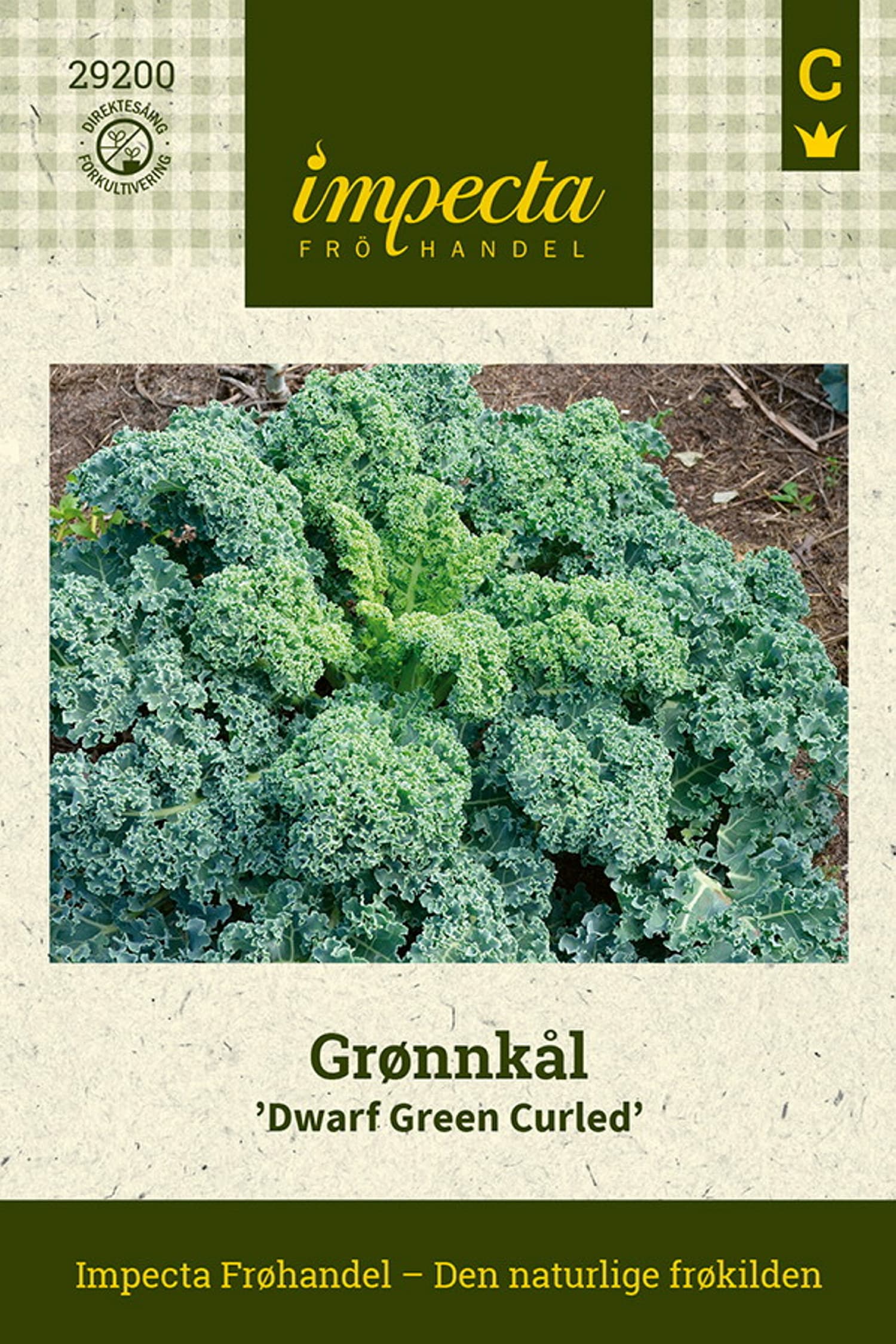 Grønnkål 'Dwarf Green Curled'