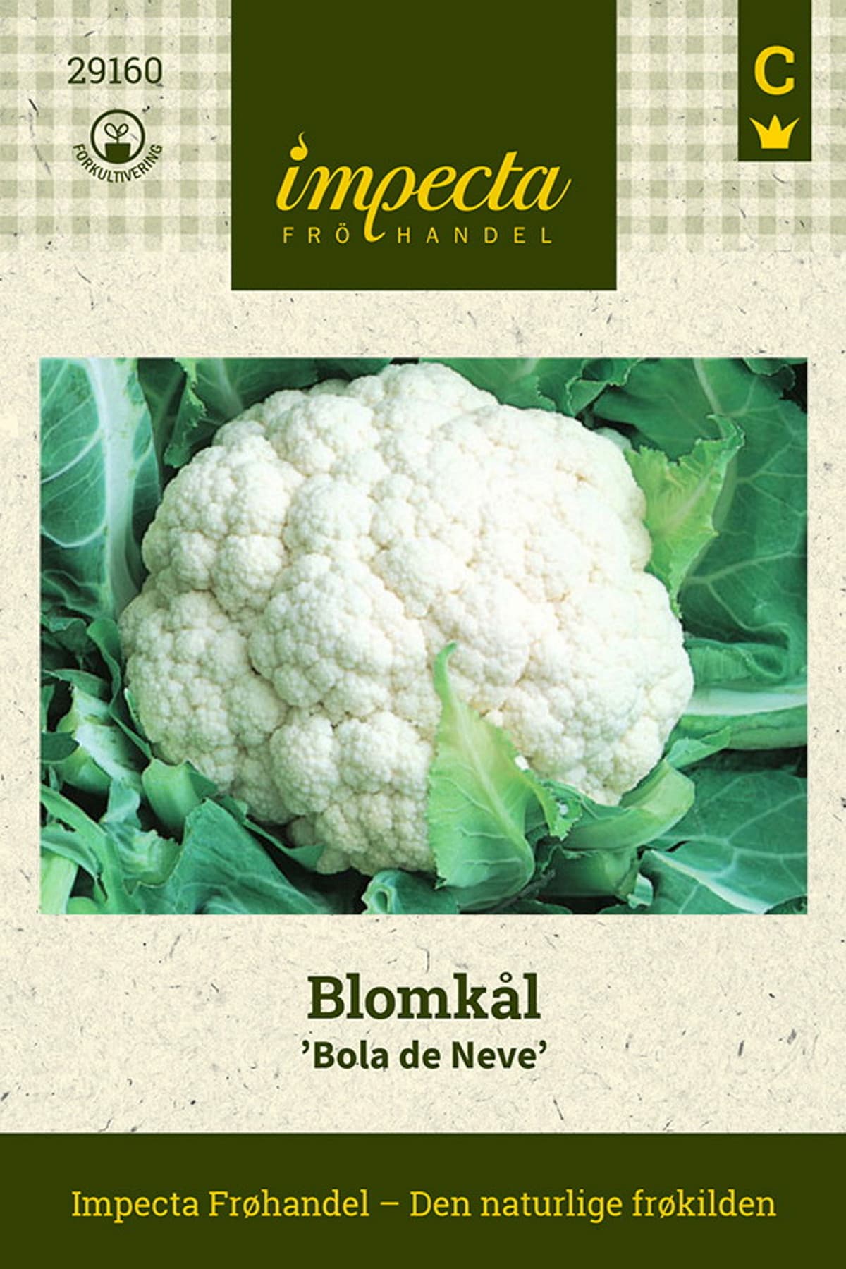 Blomkål  'Bola de Neve'