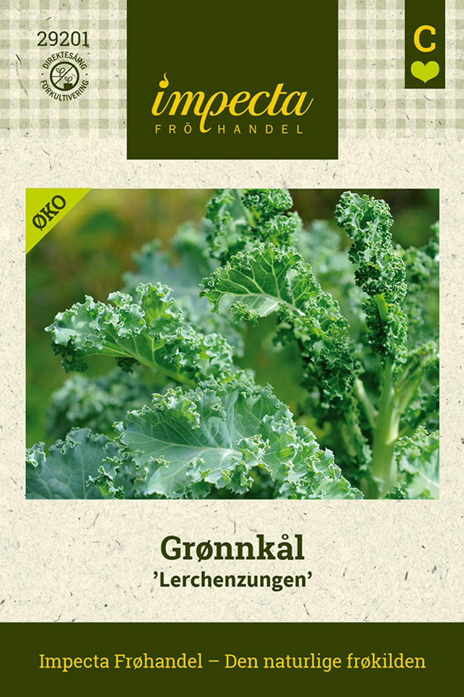 Grønnkål 'Lerchenzungen'