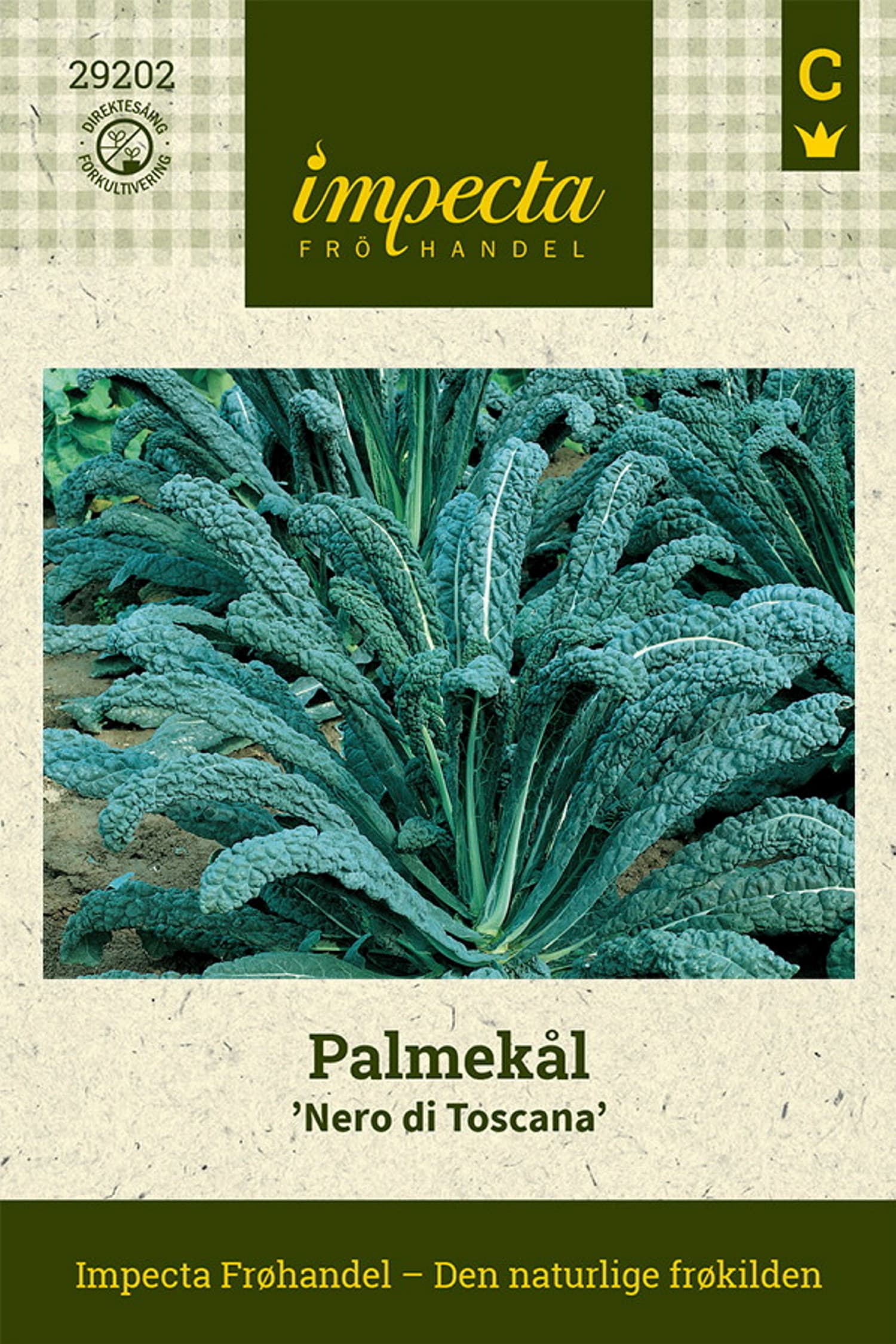 Palmekål 'Nero di Toscana'