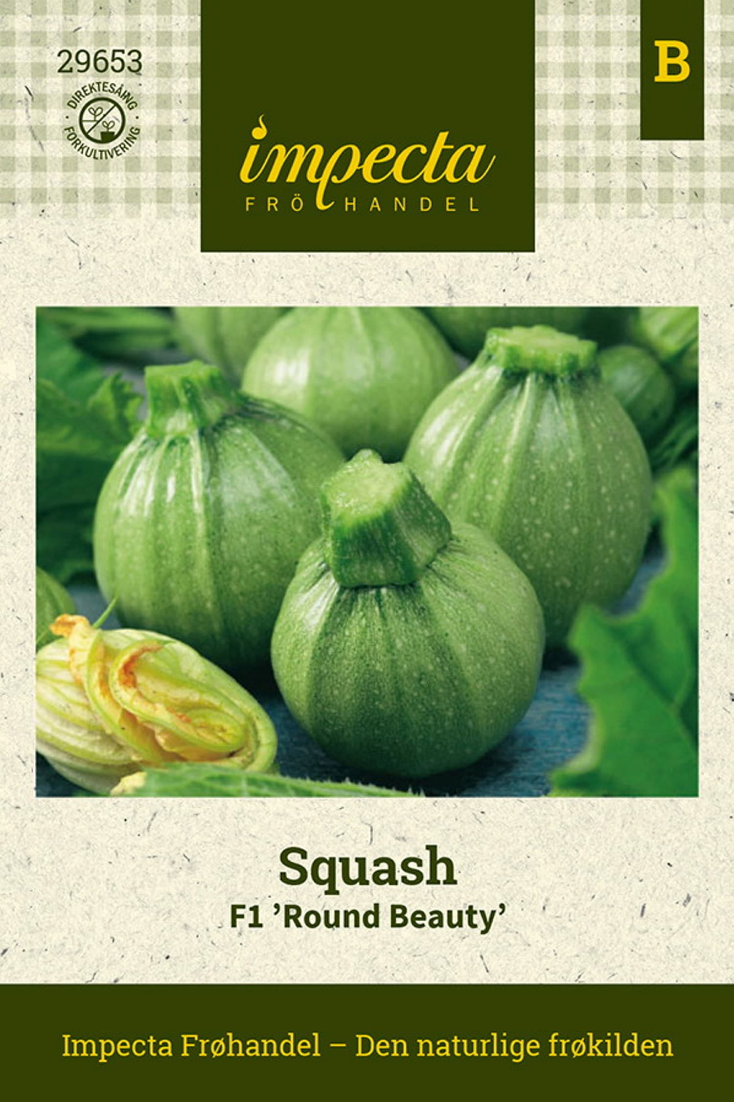 Squash F1 'Round Beauty'