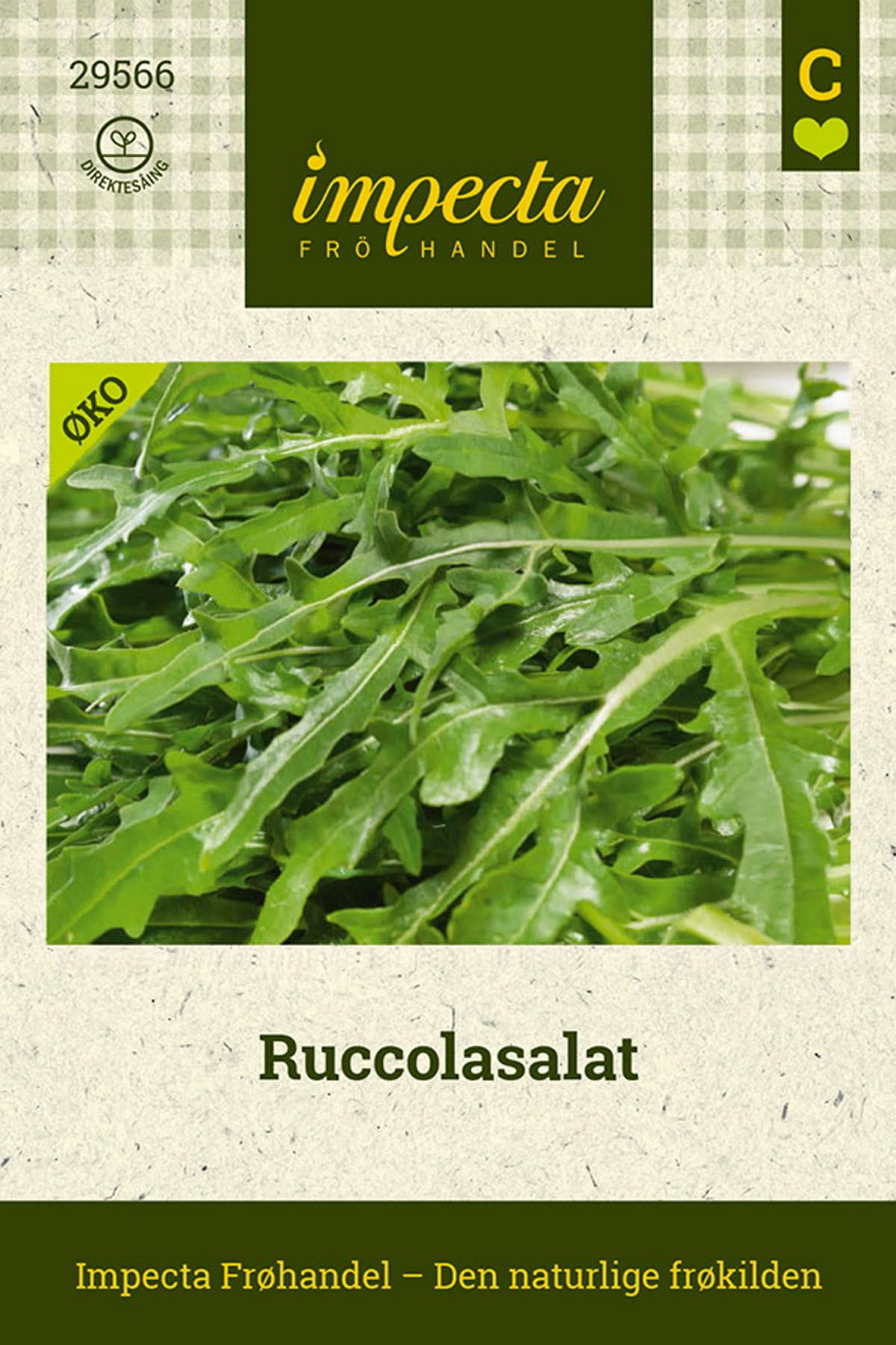 Ruccolasalat