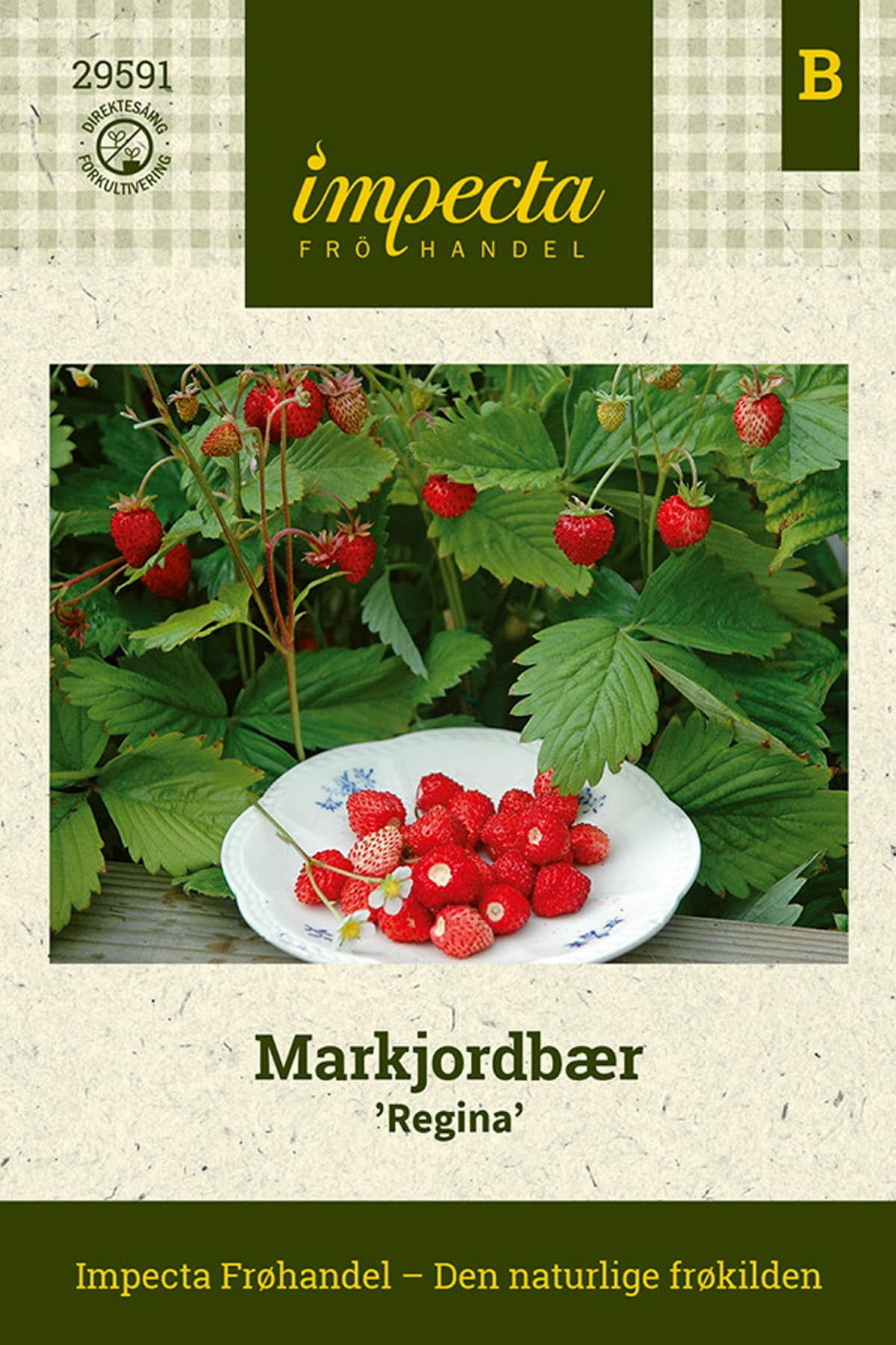 Markjordbær 'Regina'