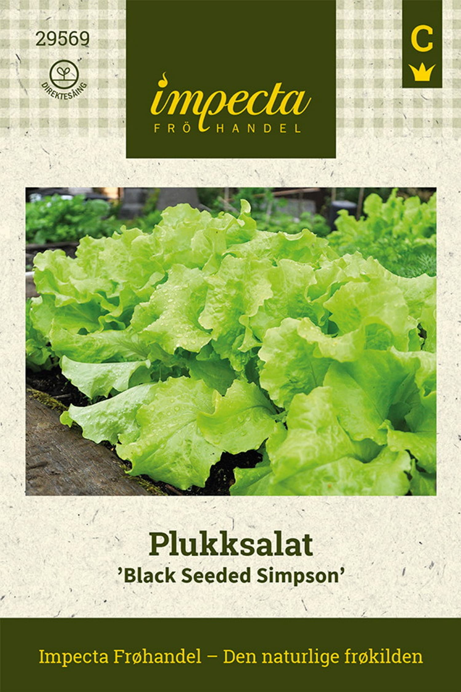 Plukksalat 'Black Seeded Simpson'