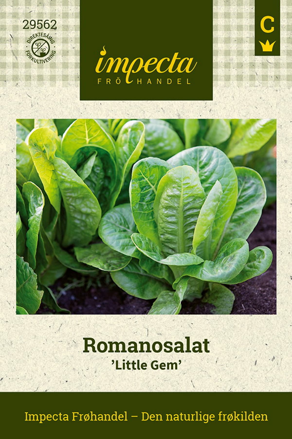 Romanosalat 'Little Gem'