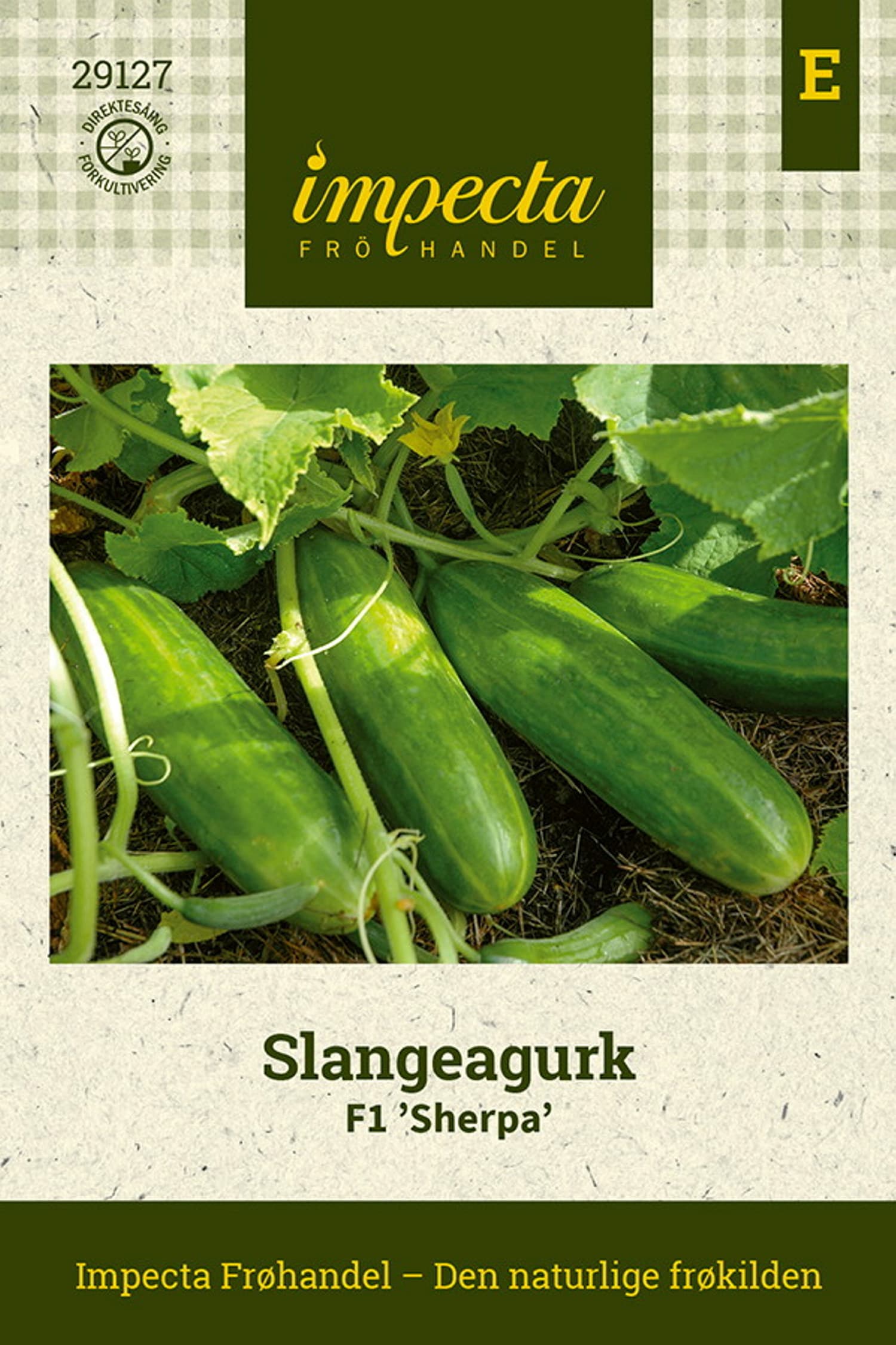 Slangeagurk F1 'Sherpa'