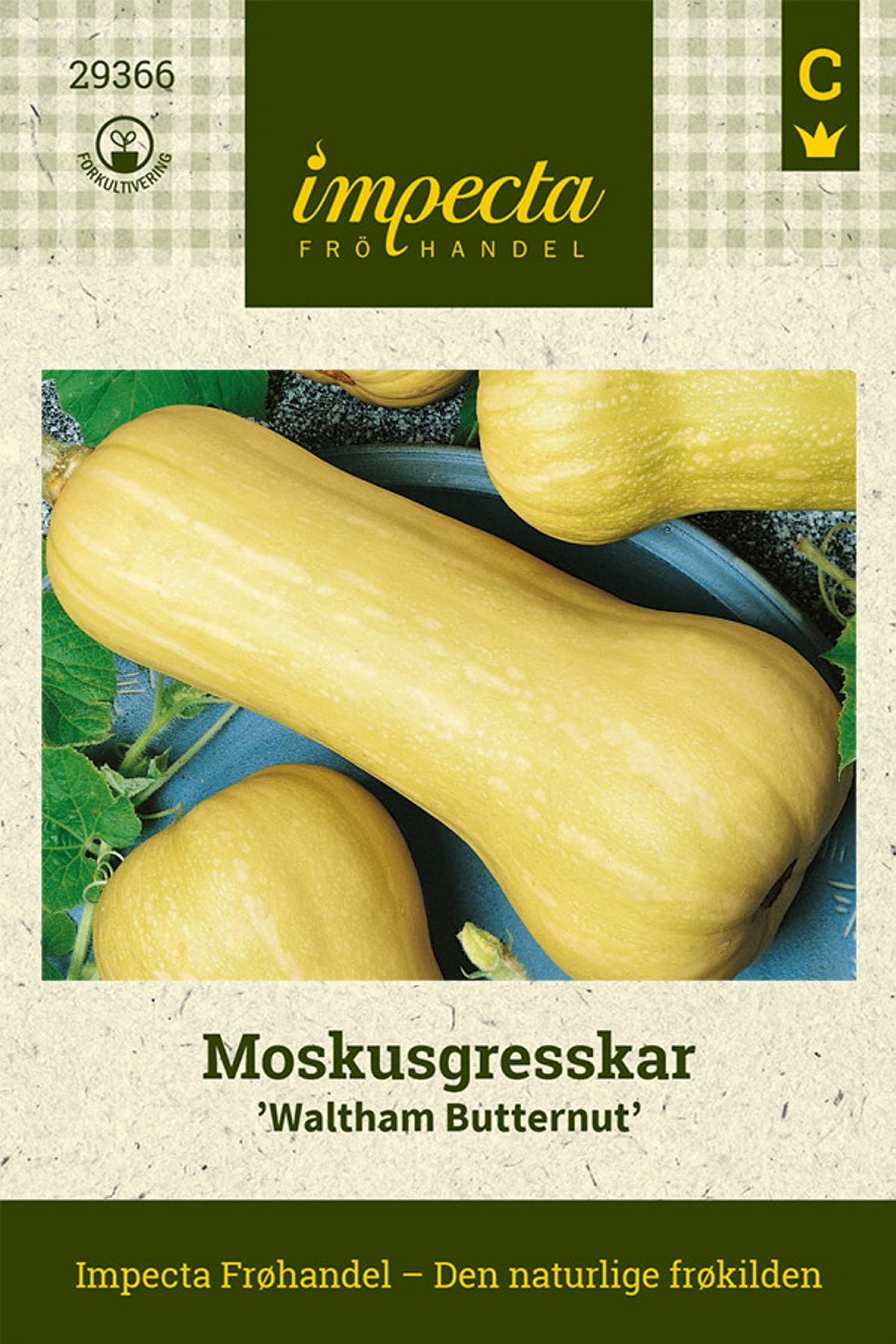 Moskusgresskar 'Waltham Butternut'