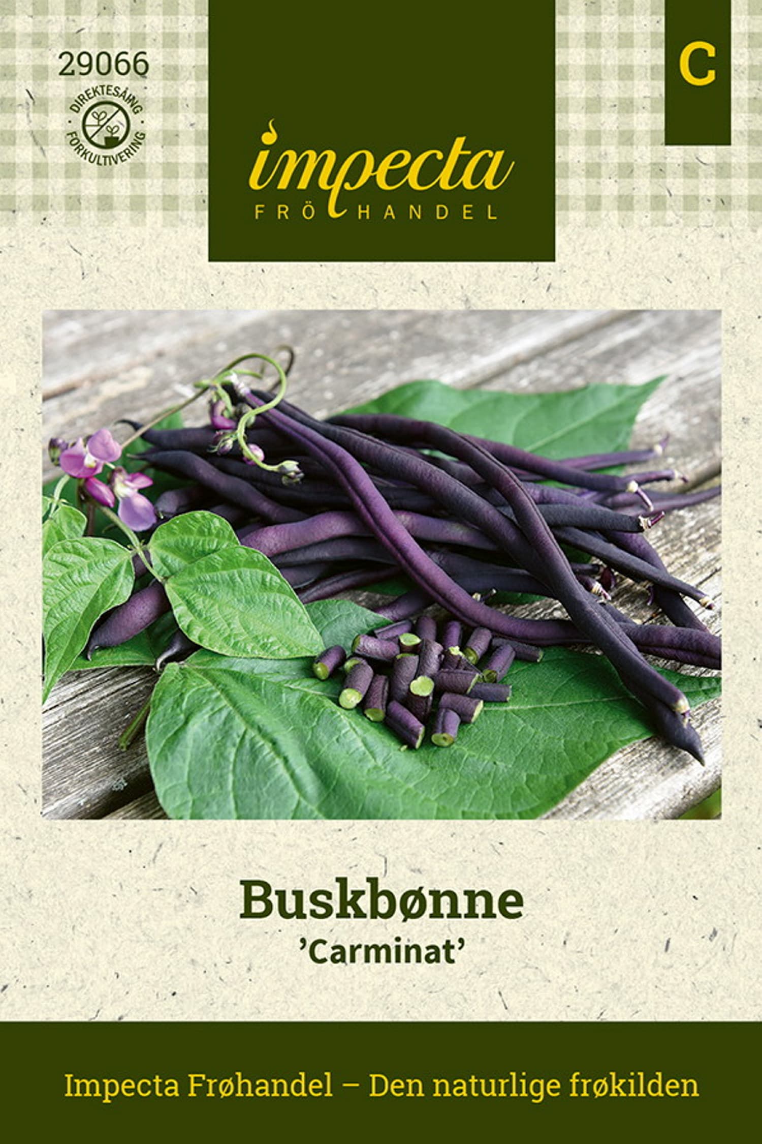 Buskbønne 'Carminat'