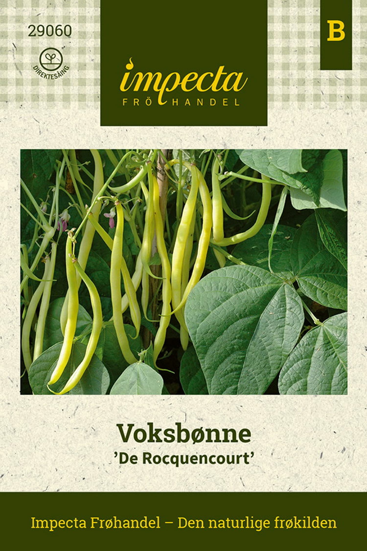 Voksbønne 'De Rocquencourt'