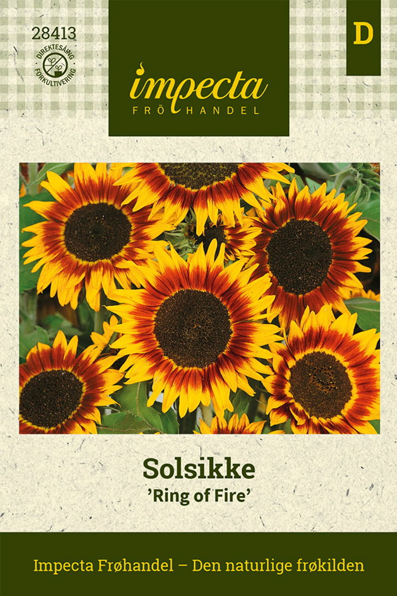 Solsikke 'Ring Of Fire'