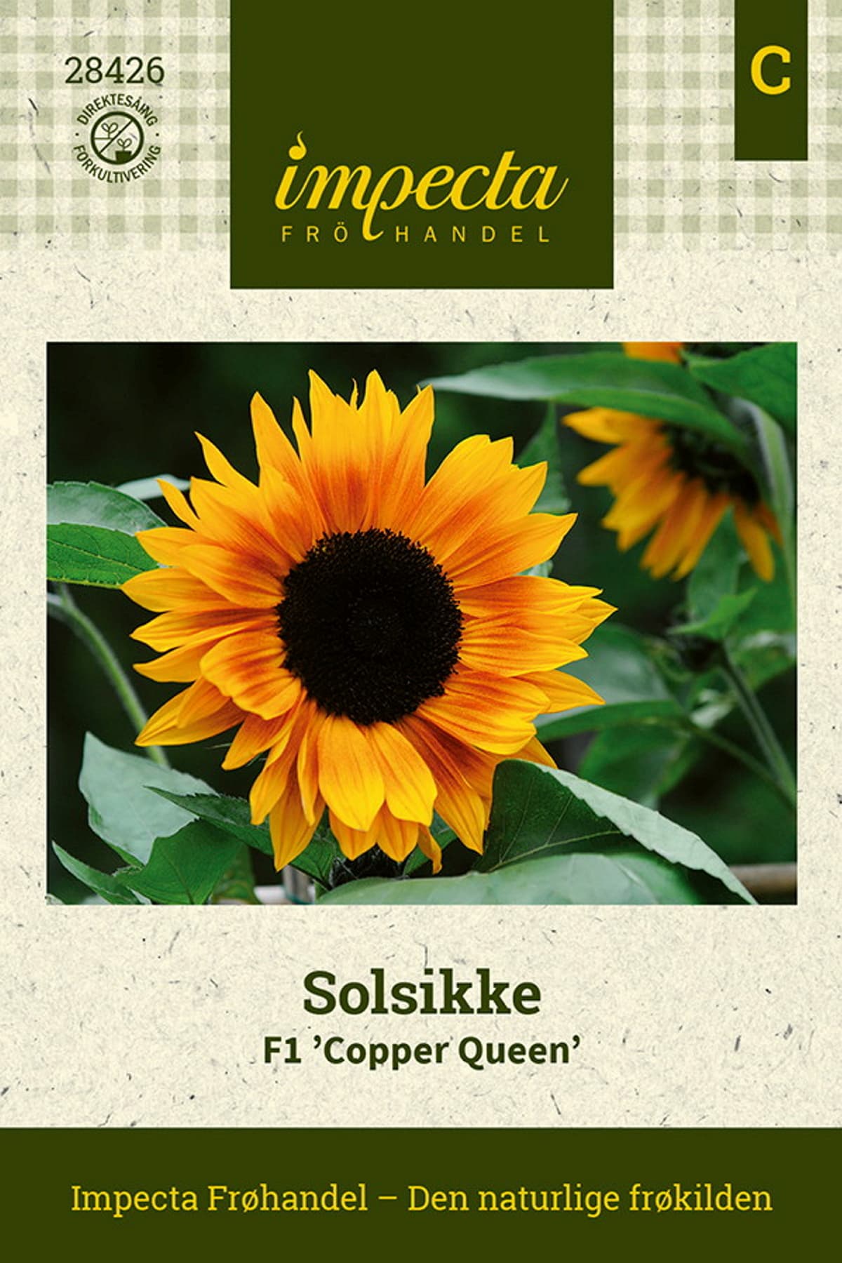 Solsikke F1 'Copper Queen'