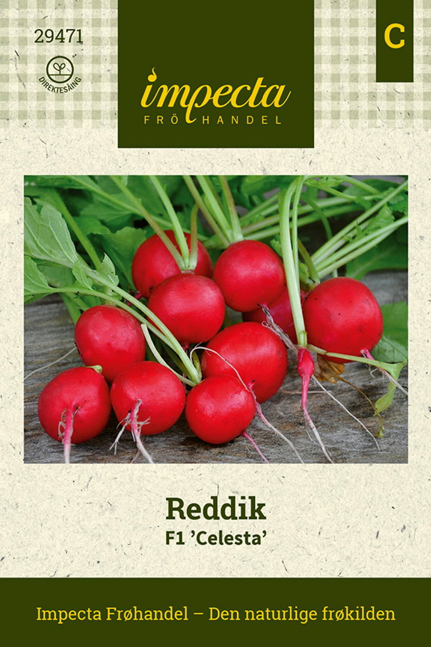 Reddik F1 'Celesta'
