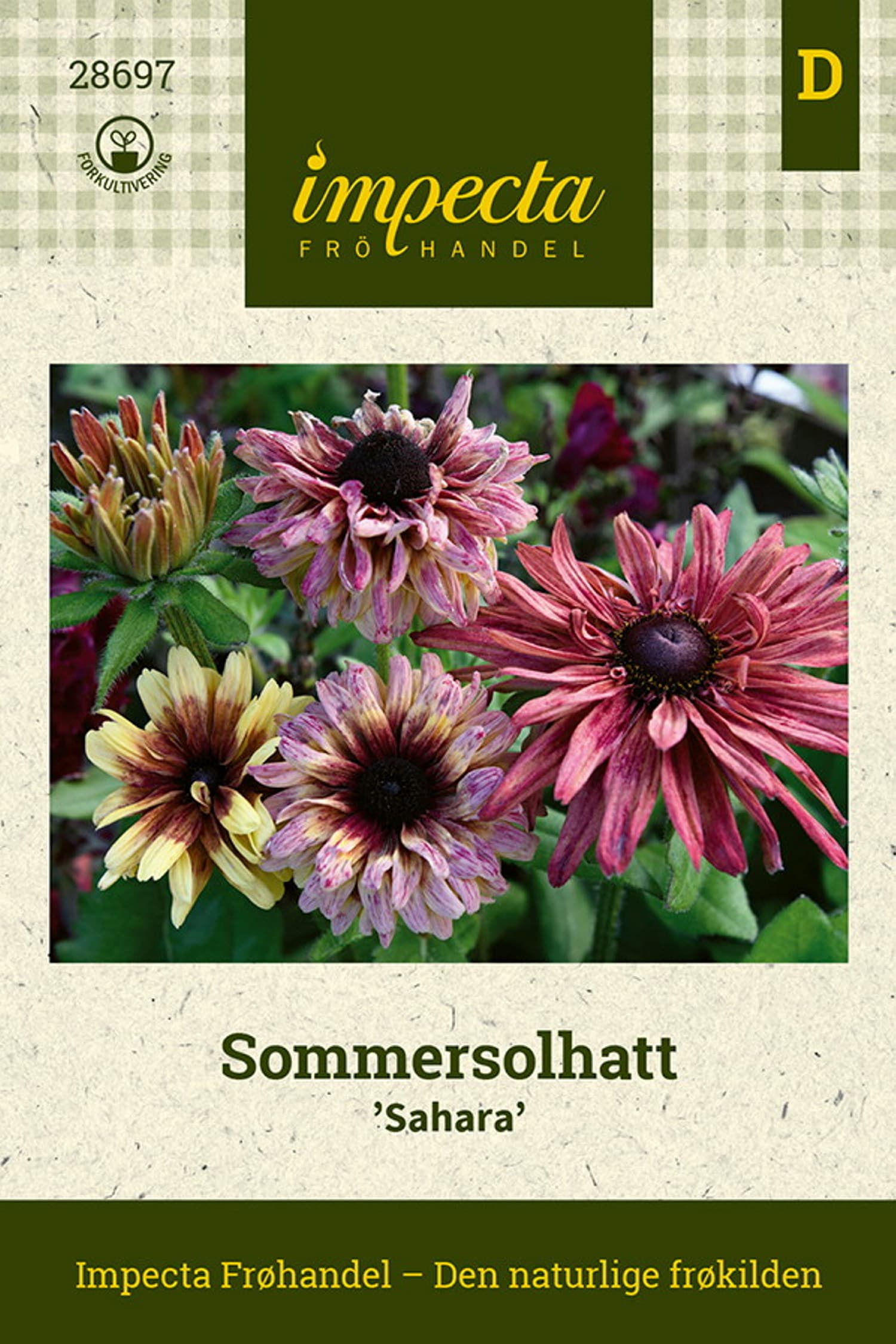 Sommersolhatt 'Sahara'