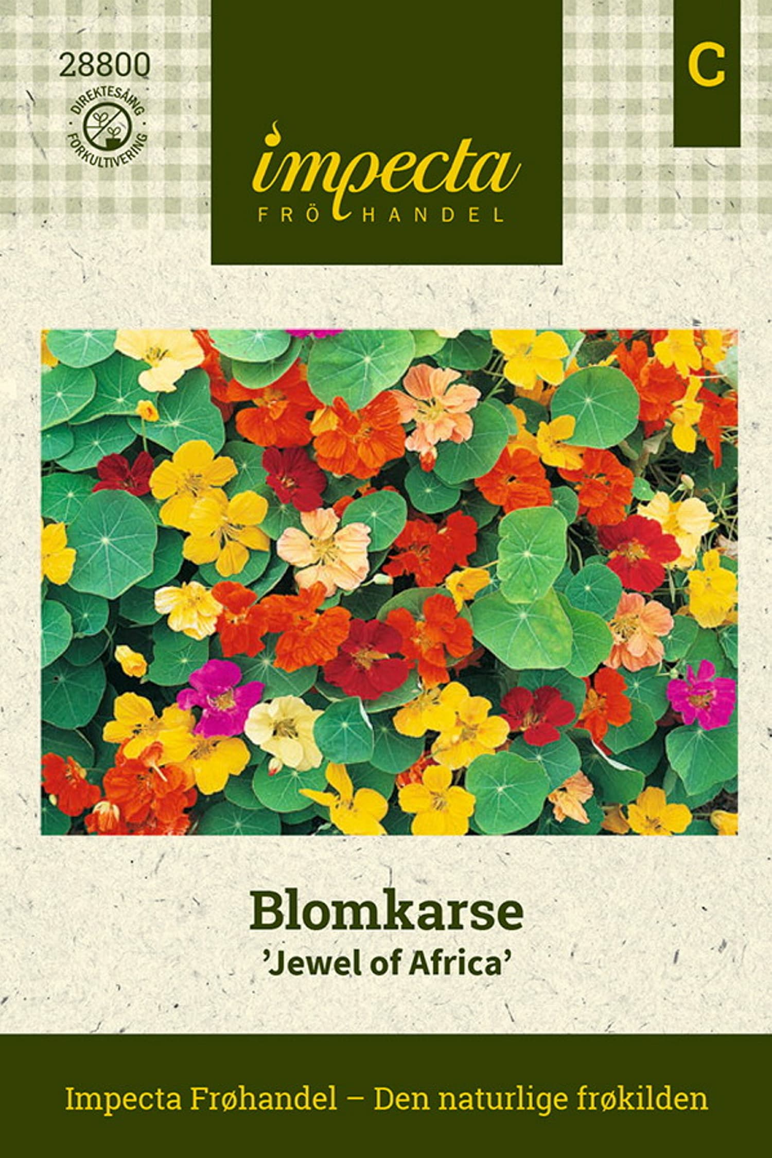 Blomkarse 'Jewel Of Africa'